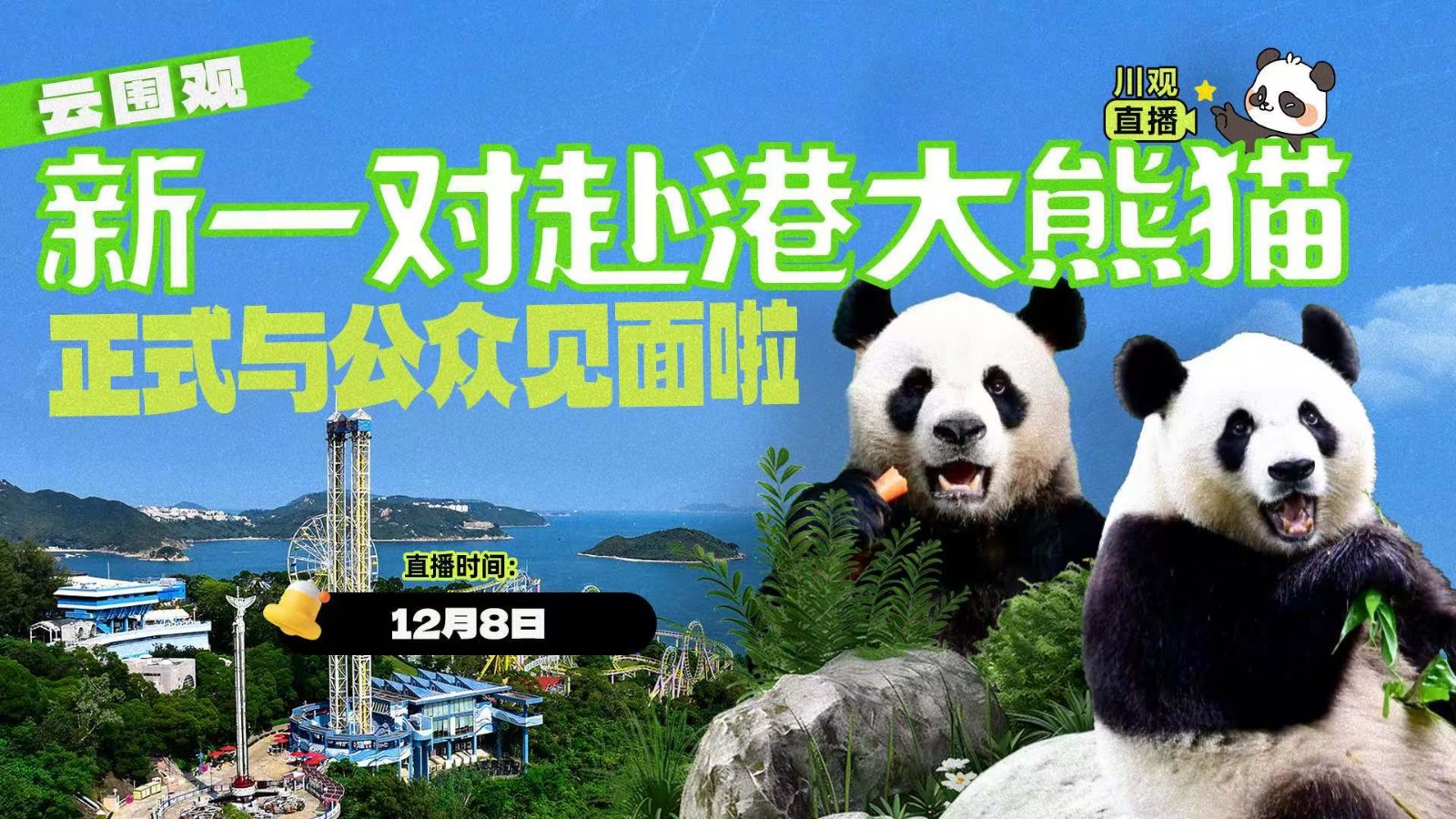 云圍觀！新一對(duì)赴港大熊貓正式與公眾見面啦