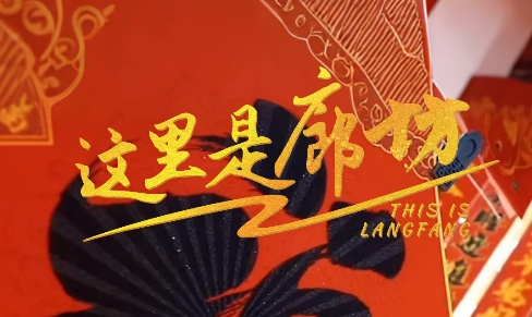 【這里是廊坊】廊坊有“貨”，新春狂歡不打烊！