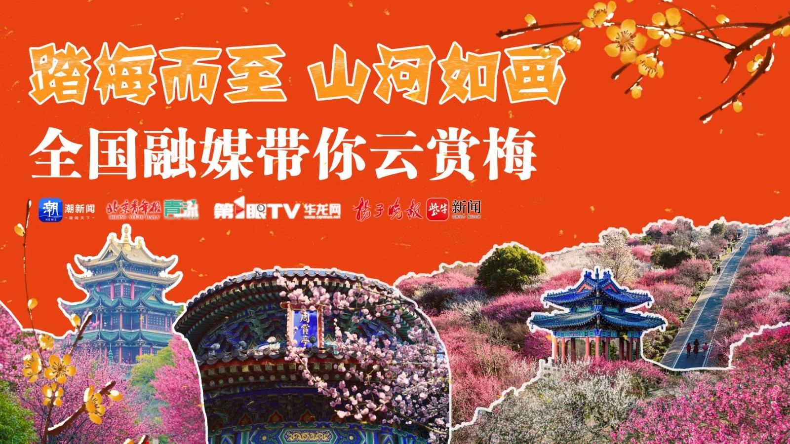 踏梅而至 山河如畫(huà) 全國(guó)融媒帶你云賞梅