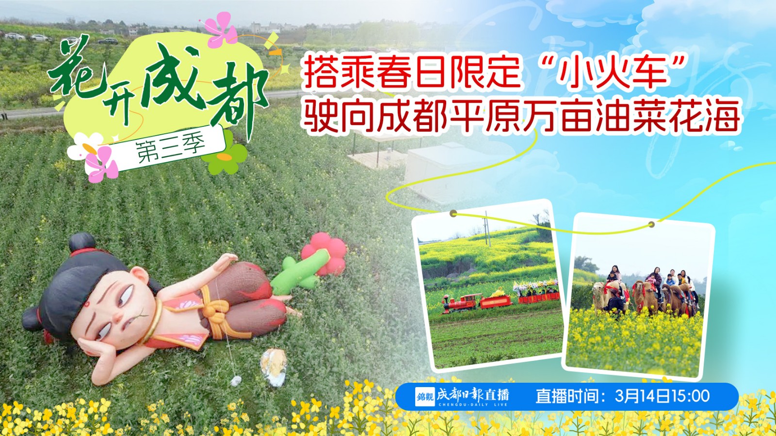 花開(kāi)成都大聯(lián)播： 搭乘春日限定“小火車(chē)” 駛向成都平原萬(wàn)畝油菜花田