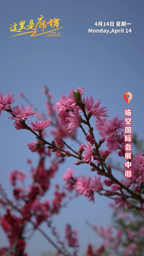 【這里是廊坊】春意盎然迎盛會